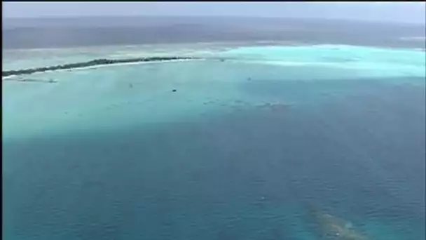 Maldives : Laguna Beach et Bolifushi