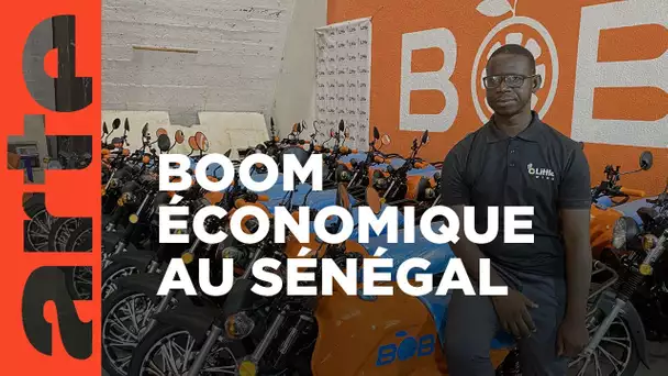 Sénégal : retour au bled | ARTE Reportage