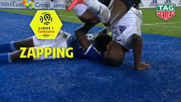 Zapping de la 17ème journée - Ligue 1 Conforama / 2019-20