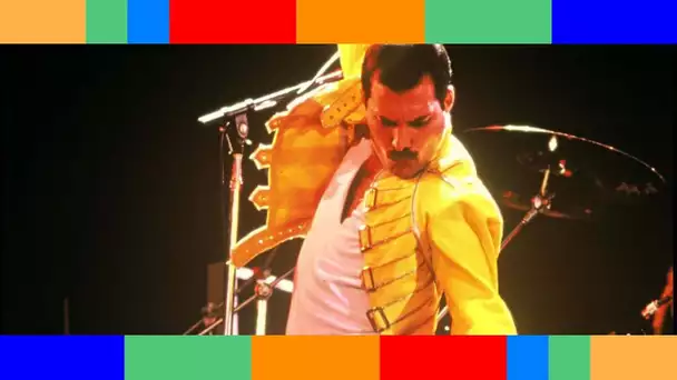 ✟  Freddie Mercury : à qui est revenu la moitié de son héritage après sa mort ?
