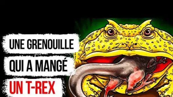 La mâchoire de cette grenouille est plus puissante que celle d’un loup, attention !