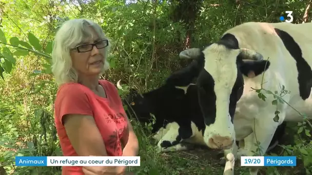 Mudita sanctuary : un refuge pour les animaux à Saint-Julien-de-Crempse