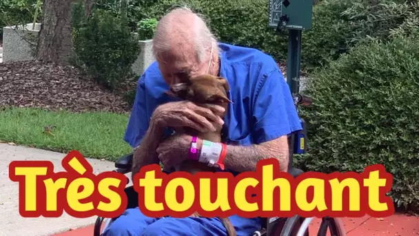 La chienne peut enfin revoir son propriétaire hospitalisé après lui avoir sauvé la vie