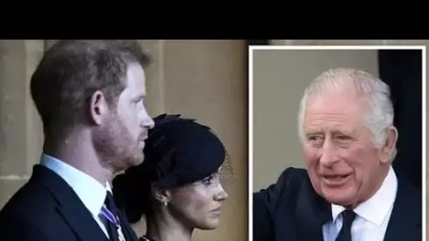 Meghan et Harry ne peuvent "sortir" des offres de livres et de Netflix que si Charles "le renfloue"