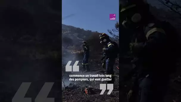 Qu'est-ce qu'un méga-feu ?