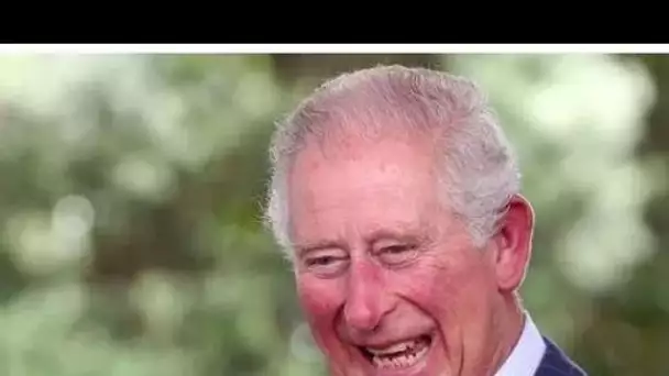Le roi Charles planifiera la plus grande série de visites royales jamais réalisée pour "tendre la ma
