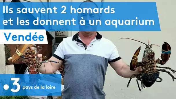 Vendée : ils sauvent 2 homards de la criée de Saint-Gilles -Croix-de-Vie