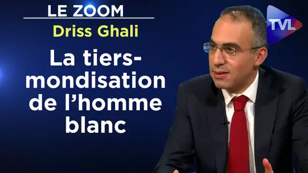 On assiste à la tiers-mondisation de l’homme blanc - Le Zoom - Driss Ghali - TVL