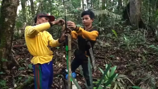 De réducteur de tête à chasseur d'oiseau vivants