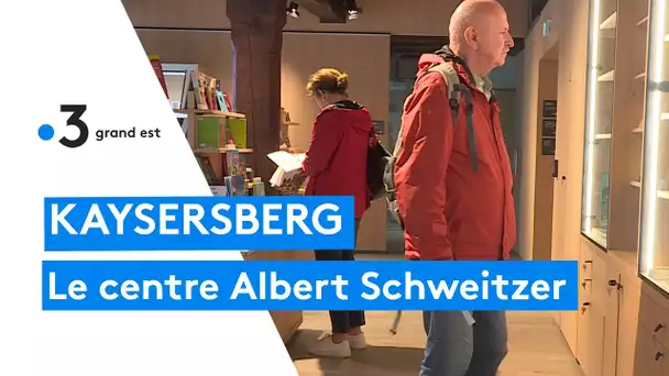 Culture : le nouveau centre Albert Schweitzer