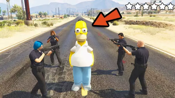 HOMER SIMPSON VS POLICE !