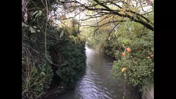 Pollution dans la Fensch : les mentalités évoluent dans la population