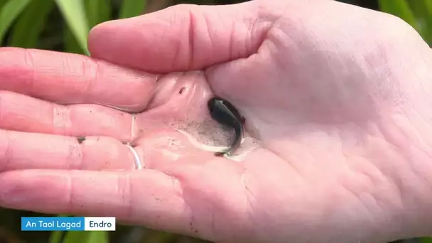 Des livrets pédagogiques bilingues pour apprendre en pleine nature