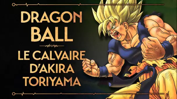 PVR #12 : DRAGON BALL - LE CALVAIRE D&#039;AKIRA TORIYAMA