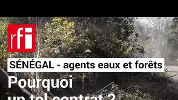 Sénégal : que sait-on du contrat d'armes négocié par le ministère de l'Environnement ? • RFI