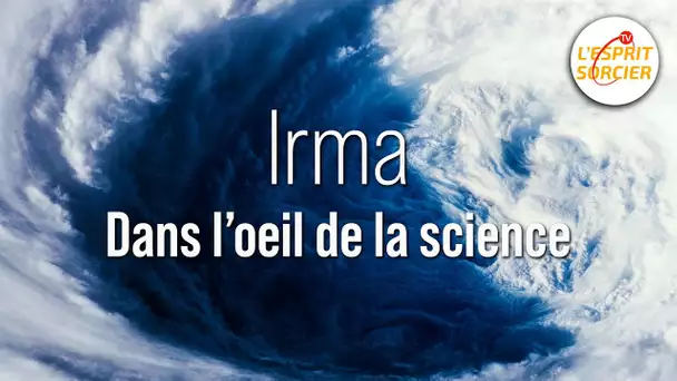 🌪️ IRMA : dans l'oeil de la science - L'Esprit Sorcier