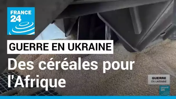 Ukraine : retour sur le trajet du premier navire de l'ONU chargé de céréales pour l'Afrique