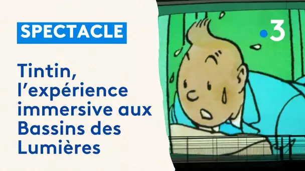 Tintin aux Bassins des Lumières de Bordeaux pour une aventure immersive