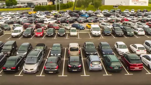 PARKING PARADIS: BUSINESS (ultra) JUTEUX - Reportage complet - FULL HD