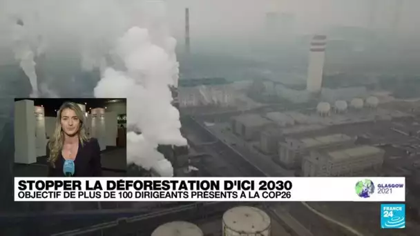 COP26 : l'objectif crucial de stopper la déforestation d'ici à 2030 • FRANCE 24