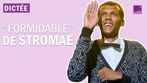 La Dictée géante : "Formidable" de Stromae