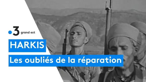 Le combat des harkis continue :  ils demandent réparation pour tous