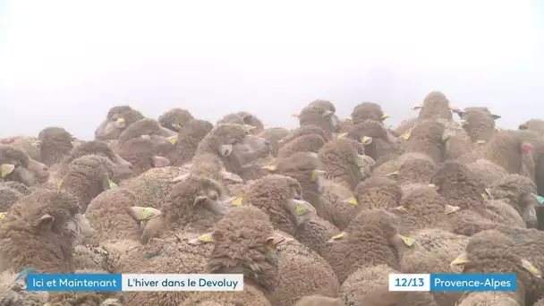 Ici et maintenant : en attendant l'hiver dans le Dévoluy