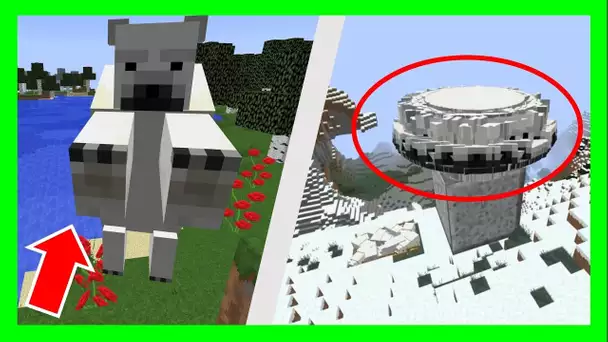 8 SECRETS SUR L&#039;OURS POLAIRE MINECRAFT ! (+bonus)