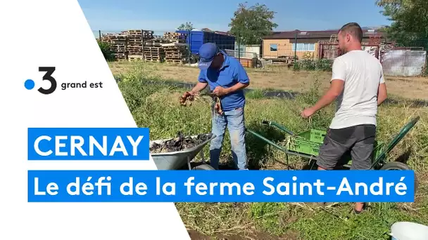 Un collectif de huit agriculteurs va cultiver les terres bio de la ferme Saint-André de Cernay