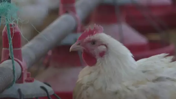 Agriculture : 2020, le boum de la vente direct