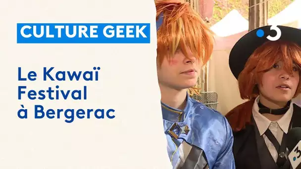 Culture geek : le Kawaï festival à Bergerac