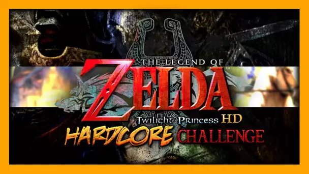 ZELDA TWILIGHT PRINCESS HARDCORE CHALLENGE !