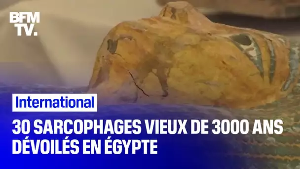 30 sarcophages de plus de 3000 ans dévoilés en Égypte