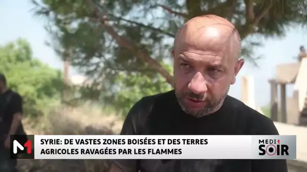 Syrie : de vastes zones boisées et des terres agricoles ravagées par les flammes