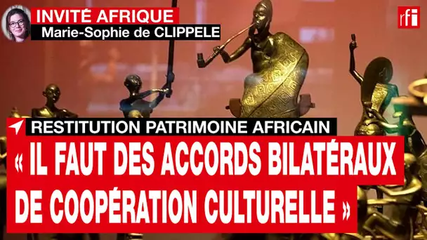 Restitution du patrimoine africain : « Il faut des accords bilatéraux de coopération culturelle »