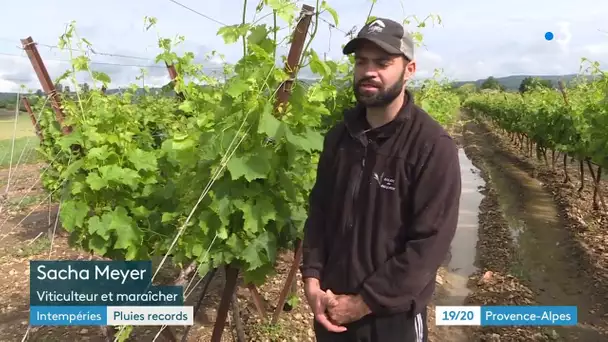 Les pluies records compliquent le travail des agriculteurs (04)