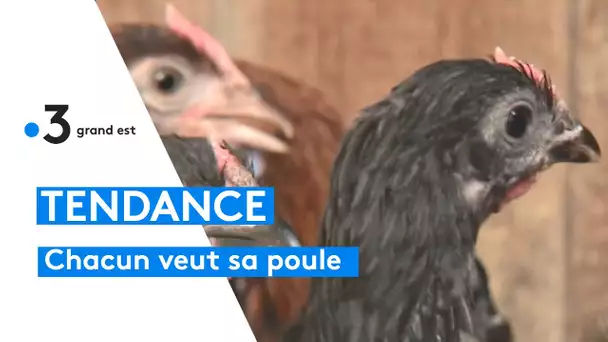 Chaque particulier veut sa poule