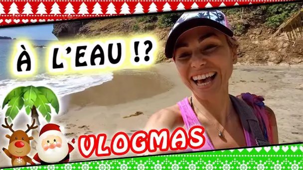 VLOGMAS 6 : Baignade en plein mois de décembre !? / Vlog en Guadeloupe
