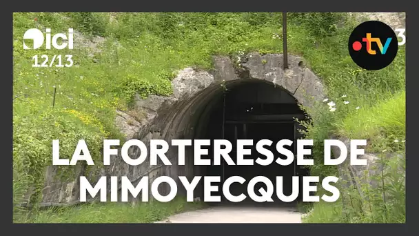 La Forteresse de Mimoyecques, 80 ans après les bombardements