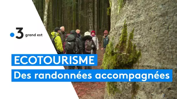 Les rendez-vous de Sandrine : balade naturaliste au Hohwald