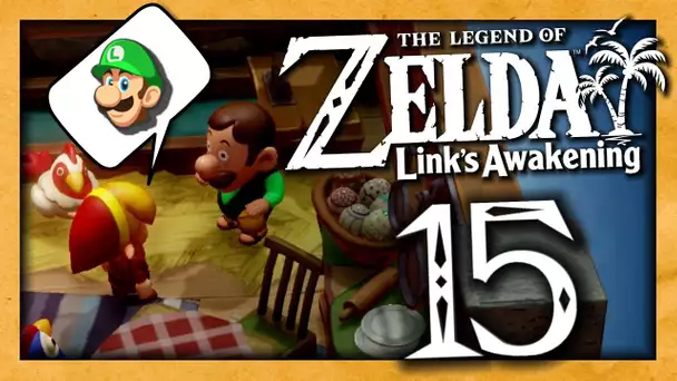 ZELDA LINK'S AWAKENING EPISODE 15 | ON A TROUVÉ LUIGI ! NINTENDO SWITCH