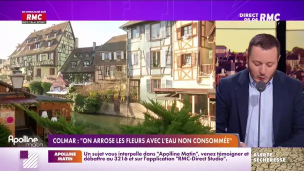 Sécheresse : le maire de Colmar en appelle à la population pour sauver les fleurs de la ville