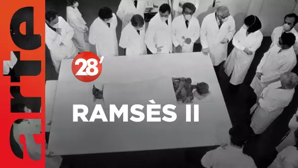 Le sarcophage de Ramsès II identifié - 28 Minutes - ARTE