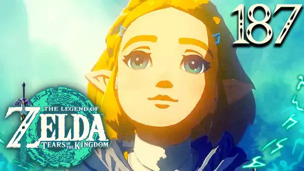 Zelda Tears of the Kingdom #187 : HEIN ?! ENCORE UNE NOUVELLE ZONE CACHÉE DÉCOUVERTE ?!