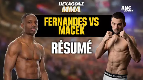 Hexagone MMA 16 : Fernandes vs Macek, un main event acharné pour un titre mondial des poids coqs