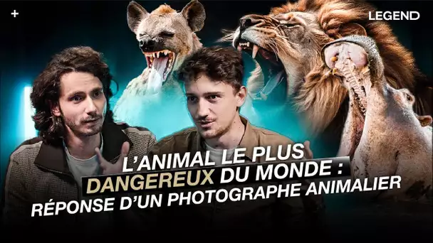 L'animal le plus dangereux du monde : réponse d'un photographe animalier