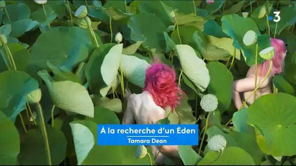 À la recherche d'un Eden pour le festival photo de La Gacilly