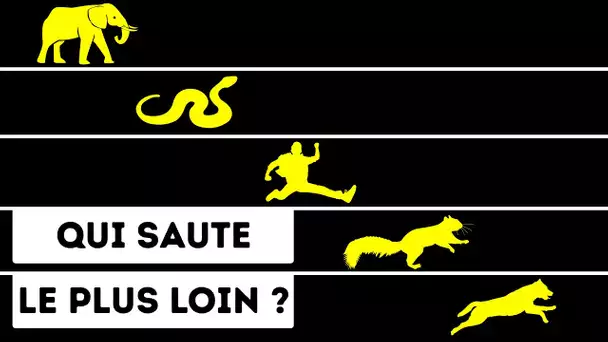 Les araignées peuvent sauter plus haut que toi