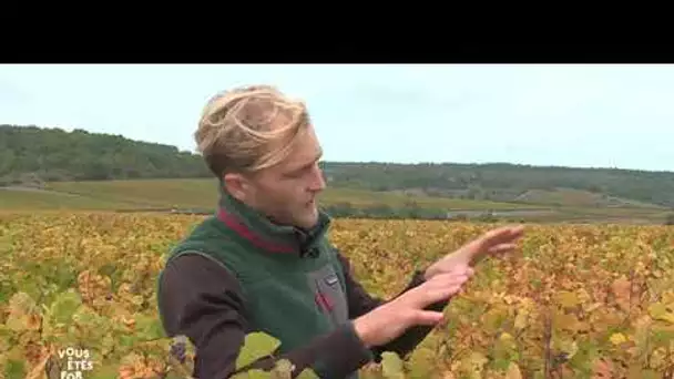 Clos de Vougeot : une appellation viticole millénaire en Côte-d'Or