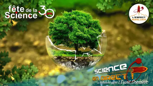 RESSOURCES NATURELLES : DES SOLUTIONS POUR L'AVENIR - Science En Direct 2021